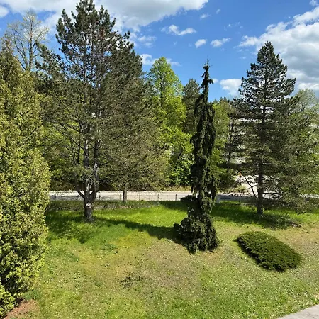 Zornicka