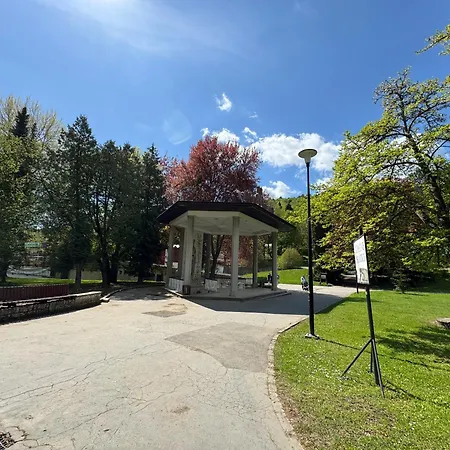 Zornicka