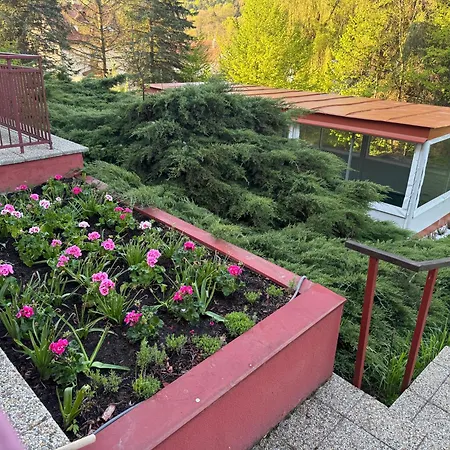 Zornicka Otel Bardejovské Kúpele